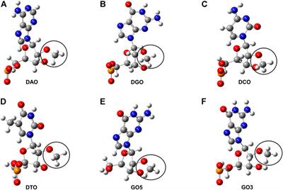 Protein DEK and DTA Aptamers: Insight Into the Interaction Mechanisms and the Computational Aptamer Design